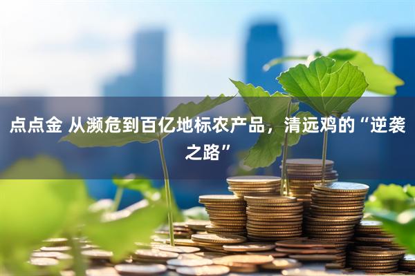 点点金 从濒危到百亿地标农产品，清远鸡的“逆袭之路”