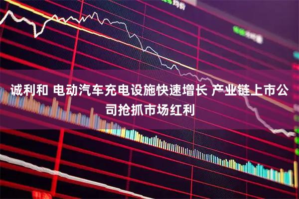 诚利和 电动汽车充电设施快速增长 产业链上市公司抢抓市场红利