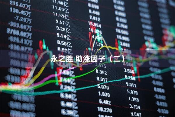永之胜 助涨因子（二）