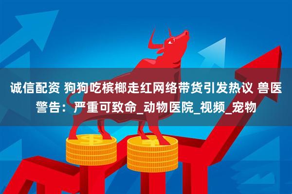 诚信配资 狗狗吃槟榔走红网络带货引发热议 兽医警告：严重可致命_动物医院_视频_宠物